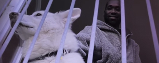 curlyman crack ignaz-wake & bake